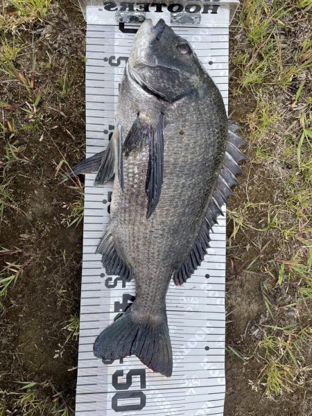 イチノ兄弟（兄）釣果！