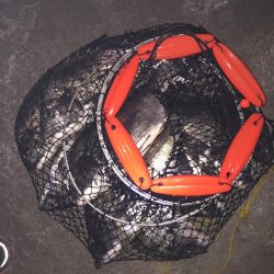 イチノ兄弟(兄)釣果!