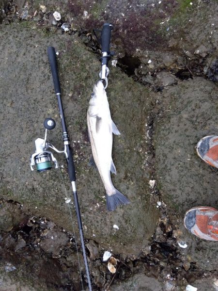 5月ようやく1匹