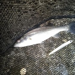 雨後の表層狙いはNG？