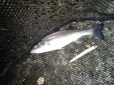 雨後の表層狙いはNG？