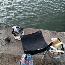 2023/05/02 大阪市内河川 稚鮎釣り