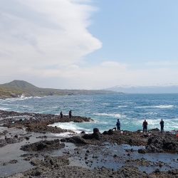 北海道積丹周辺でホッケを釣る！!