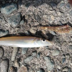 ゴールデンウィーク４連投しました