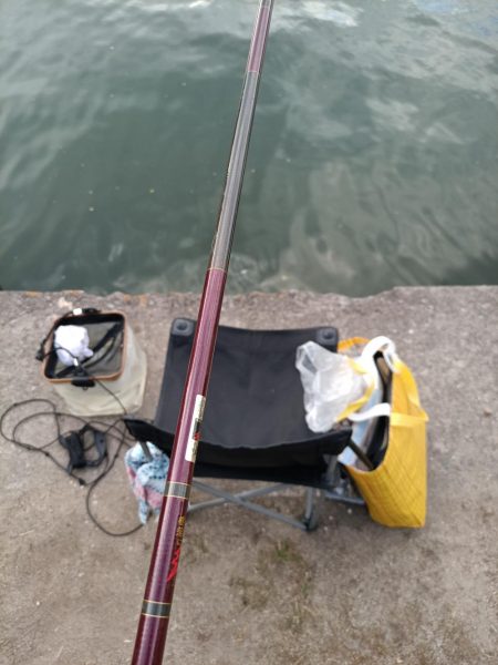 2023/05/05 大阪市内河川 稚鮎釣り