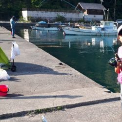 ファミリーフィッシング