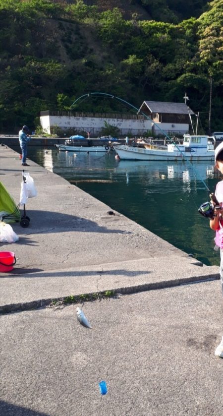 ファミリーフィッシング