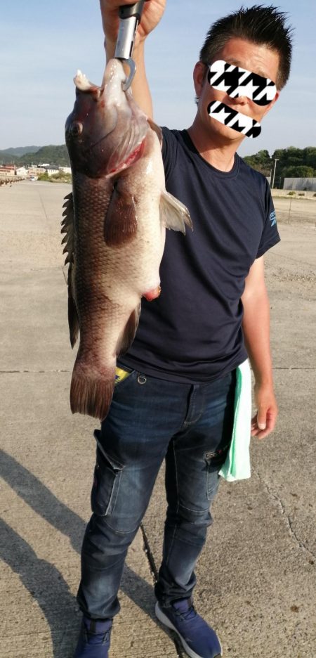 諦めずにコブダイ！