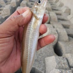 東二見のキス情報