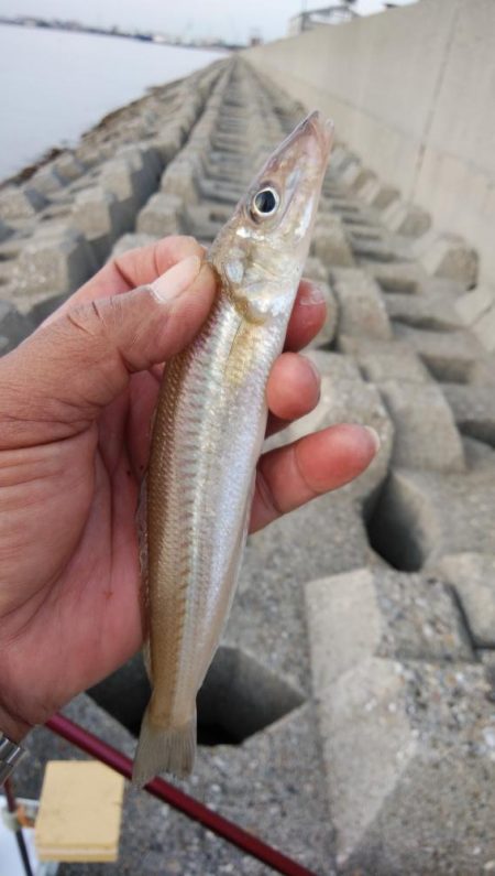 東二見のキス情報