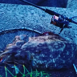 仕事帰りに二杯は上出来