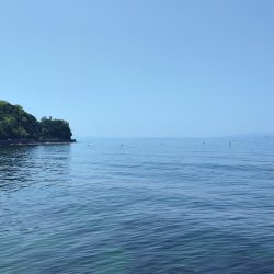 ついにこの季節が