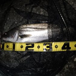 行ってみないと分からないよね～