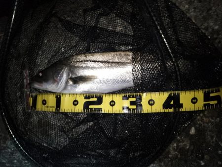 行ってみないと分からないよね～