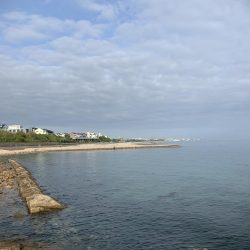 今シーズン初キス釣り