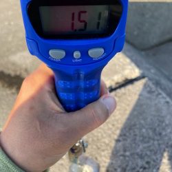 熟れきってるそのモンゴー ゆがんじゃってもずっとMy Love