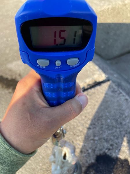 熟れきってるそのモンゴー ゆがんじゃってもずっとMy Love