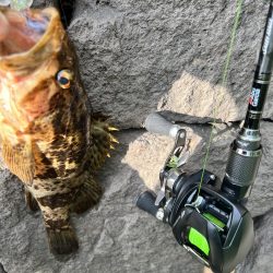 久しぶりに釣れました！！