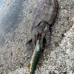 もうお前らええんやけど