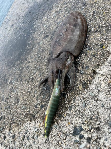 もうお前らええんやけど