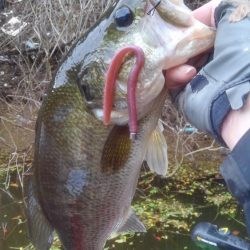 産後でお疲れの様子…