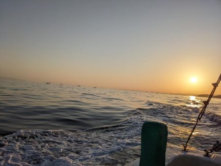 今日もクログチ(泉州丸)