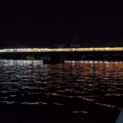 武庫川シーバス