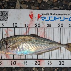 フロートアジング