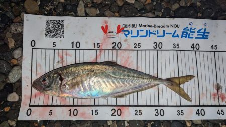 フロートアジング