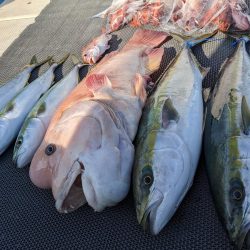 飲ませ釣り(サウス)