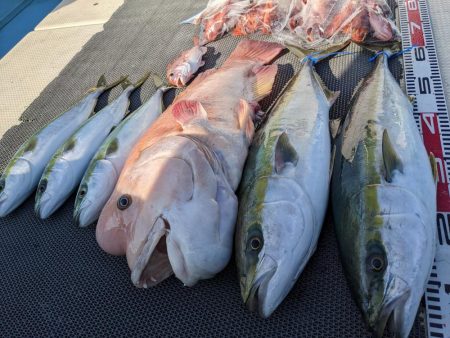 飲ませ釣り(サウス)