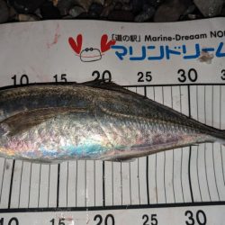 ホタルイカパターンでギガアジ確保