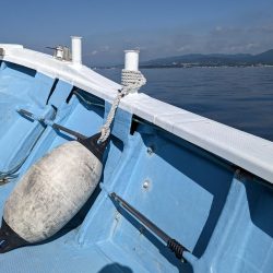 ヒラメ大量（サウス）