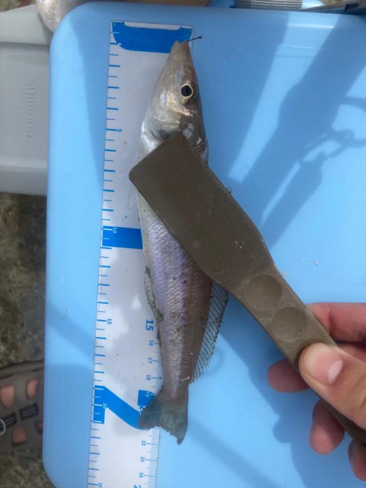 最後に少し報われる