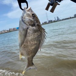 淀川昼間の干潮潮止まり