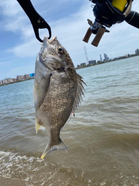 淀川昼間の干潮潮止まり