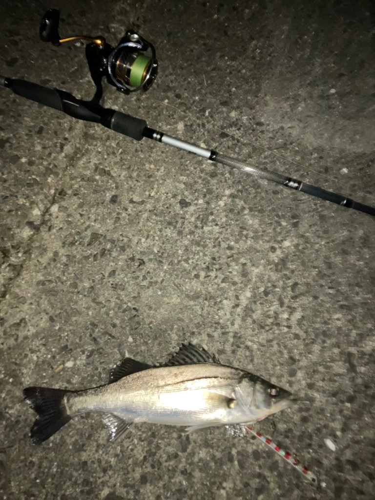 ⭐️リベンジ成功