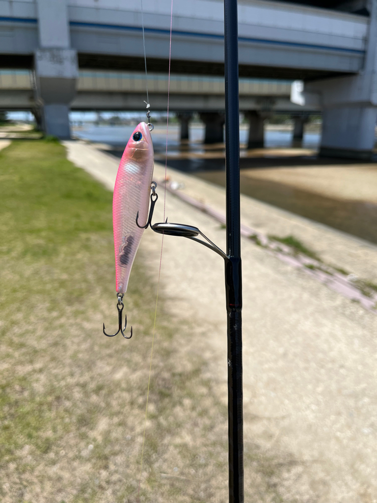 今日は武庫川でチニング!