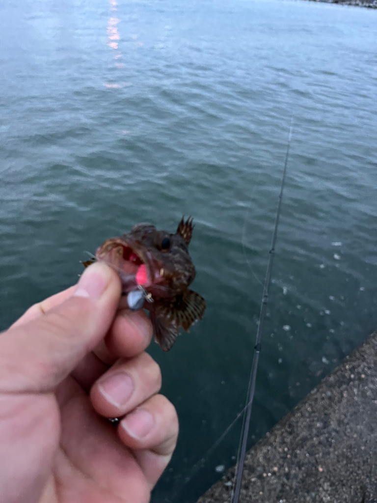 姫路ライトゲーム