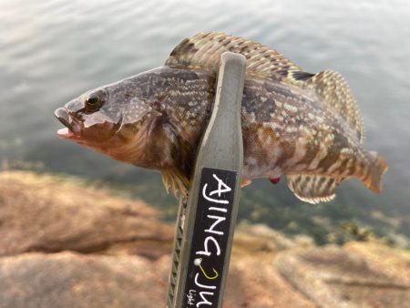 ミニばっかり(^^;)