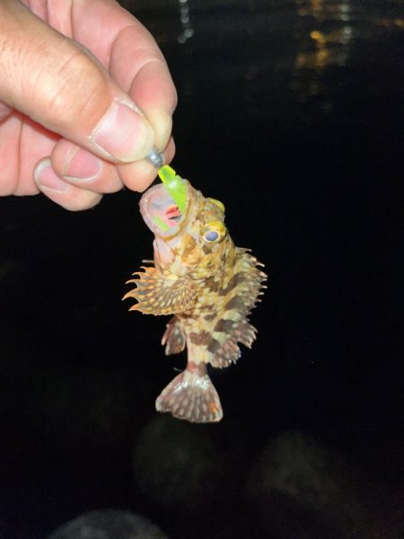 姫路ライトゲーム