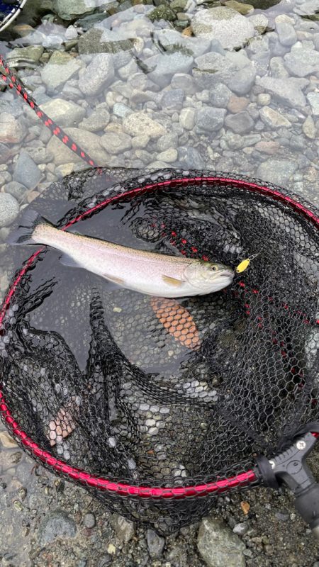 渋かったですが釣れて良かった