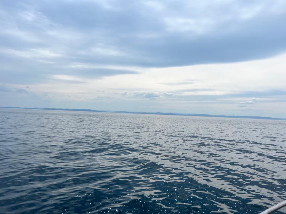 五目フィッシング