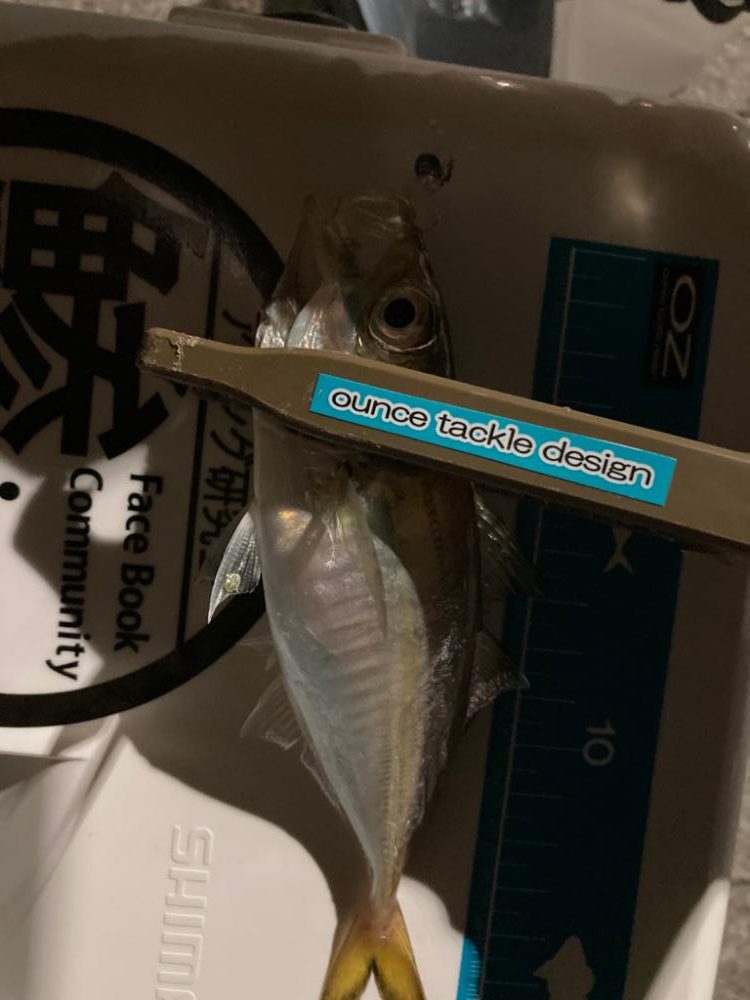 雨上がりの様子は・・・