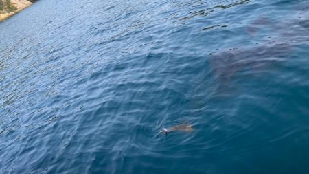 楽しいボートエギング♡