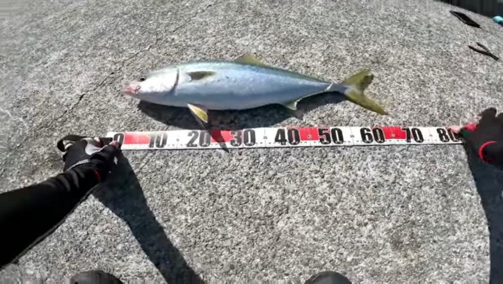 渋い中メジロゲット