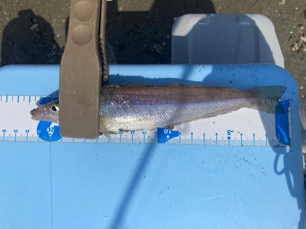 久しぶりのスペシャルゲスト