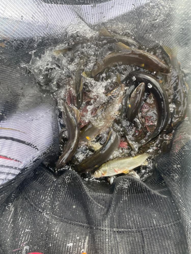 九州鮎釣連合会大会