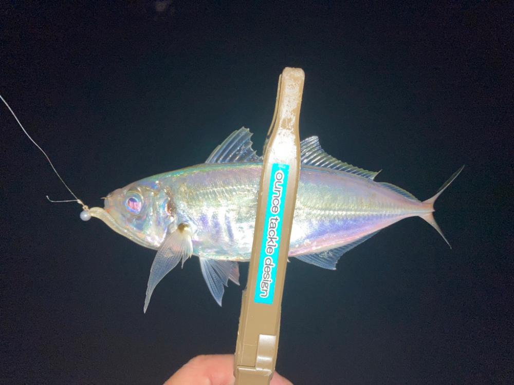 ショートバイトが・・・