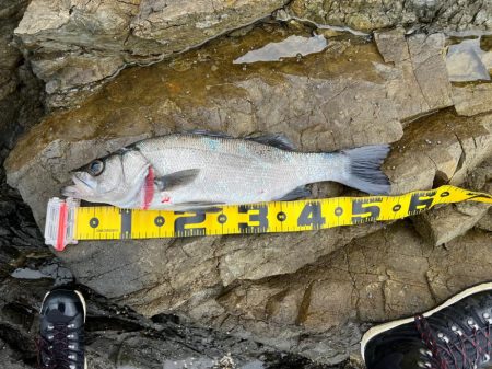 波高いしボーッとリーリングしてたらドカーン…